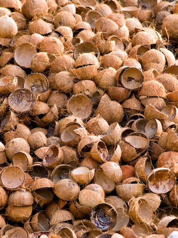 Coconut.shells