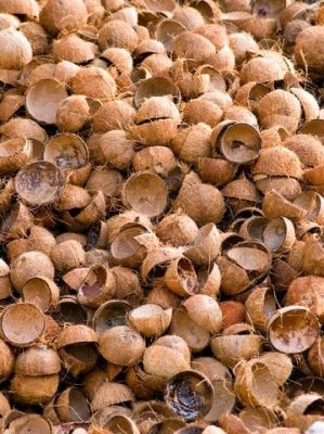Coconut.shells